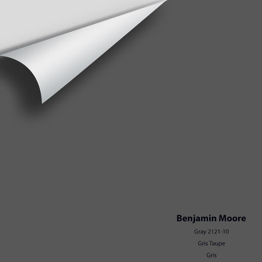Benjamin Moore - Gray 2121-10 Colour Sample