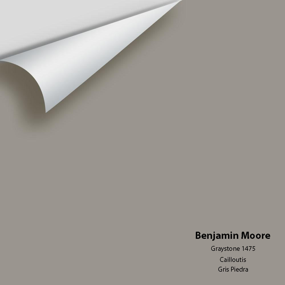 Big Paint Chip - Graystone 1475 Colour Sample