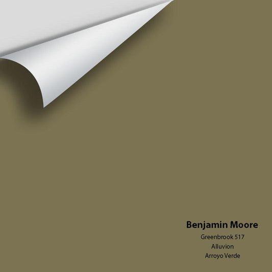 Benjamin Moore - Greenbrook 517 Colour Sample