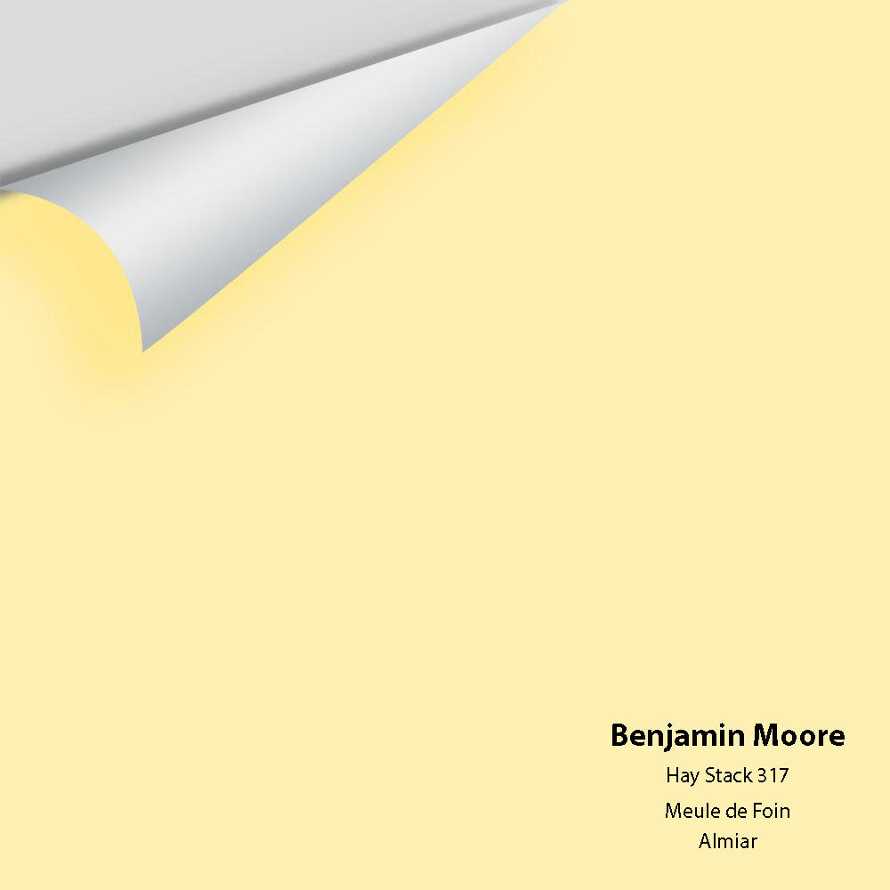 Benjamin Moore - Hay Stack 317 Colour Sample