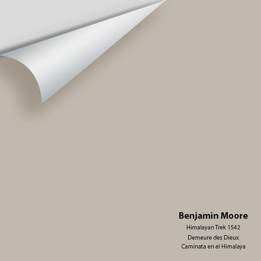 Benjamin Moore - Himalayan Trek 1542 Colour Sample