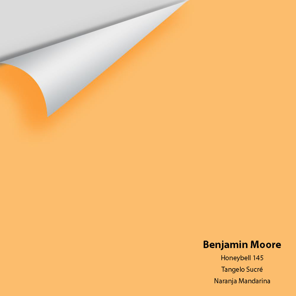 Big Paint Chip - Honeybell 145