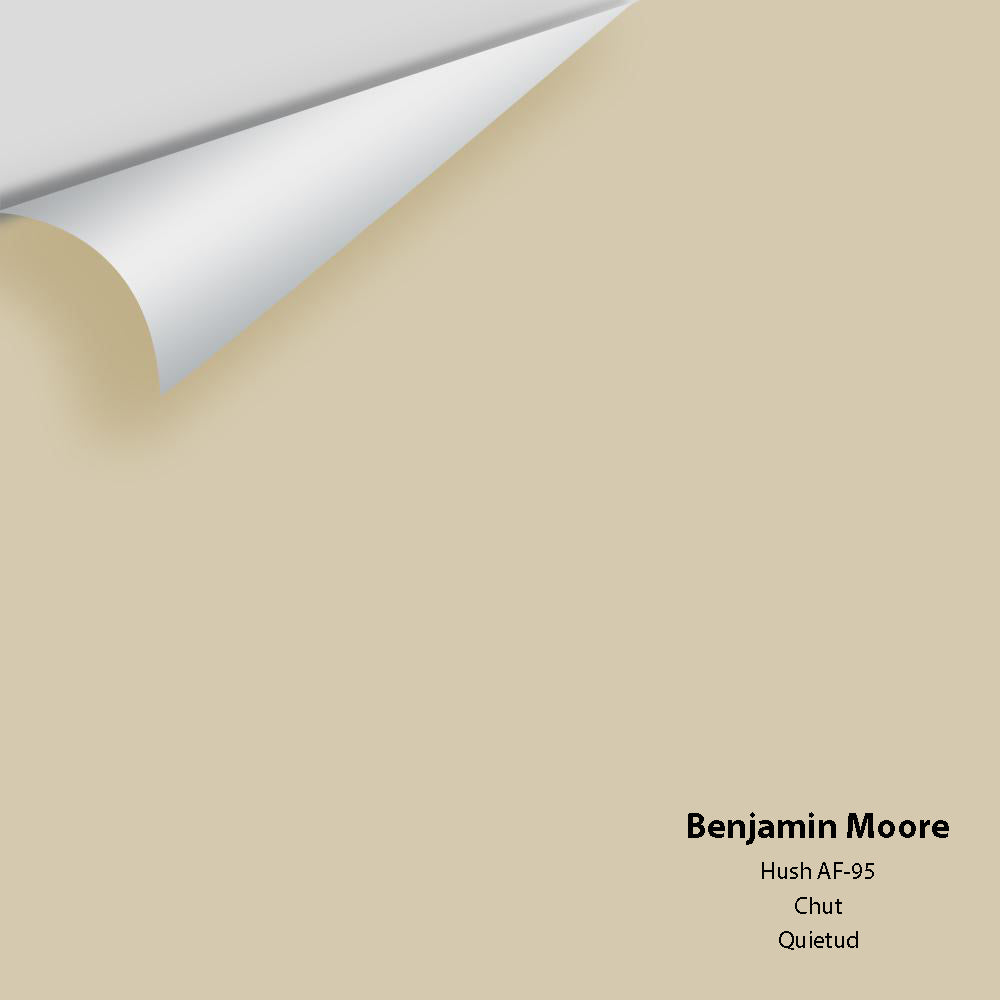 Benjamin Moore - Hush AF-95 Colour Sample