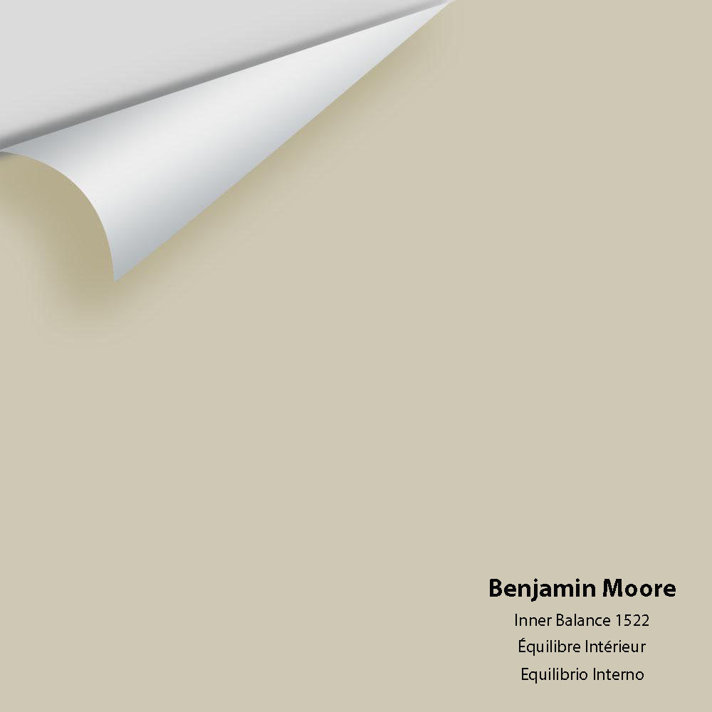 Big Paint Chip - Inner Balance 1522