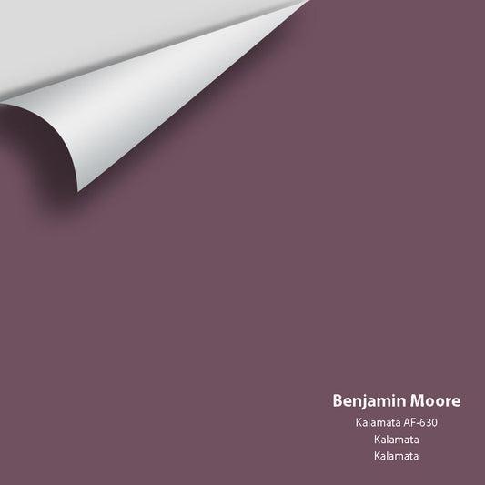 Benjamin Moore - Kalamata AF-630 Colour Sample