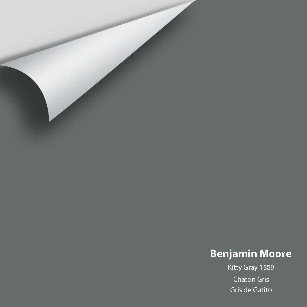 Benjamin Moore - Kitty Gray 1589 Colour Sample