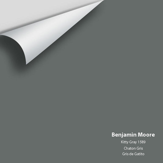 Benjamin Moore - Kitty Gray 1589 Colour Sample