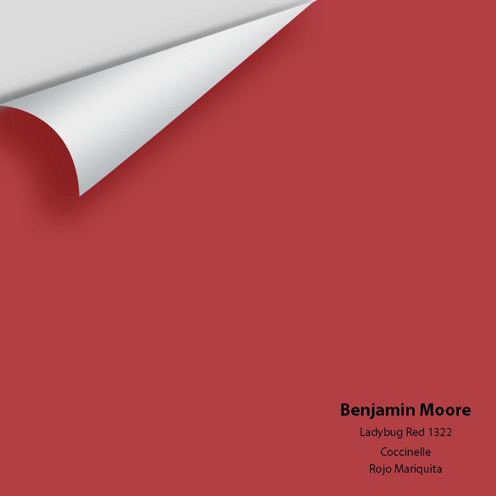 Big Paint Chip - Ladybug Red 1322