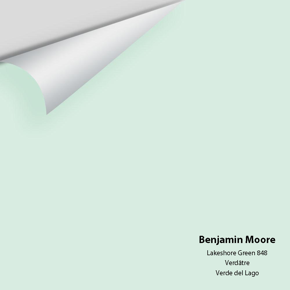 Big Paint Chip - Lakeshore Green 848