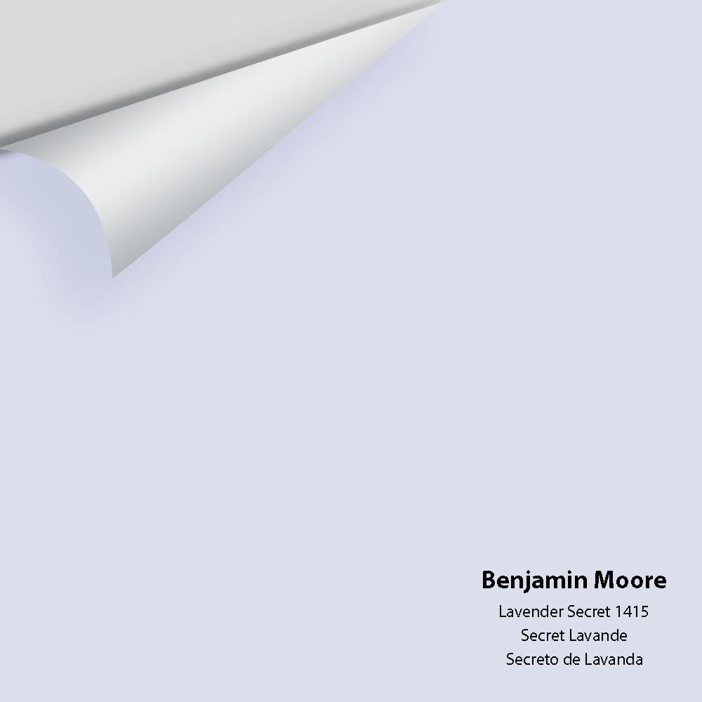 Big Paint Chip - Lavender Secret 1415