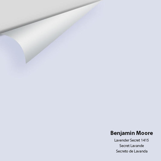 Big Paint Chip - Lavender Secret 1415