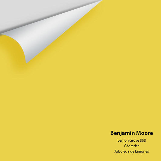 Big Paint Chip - Lemon Grove 363