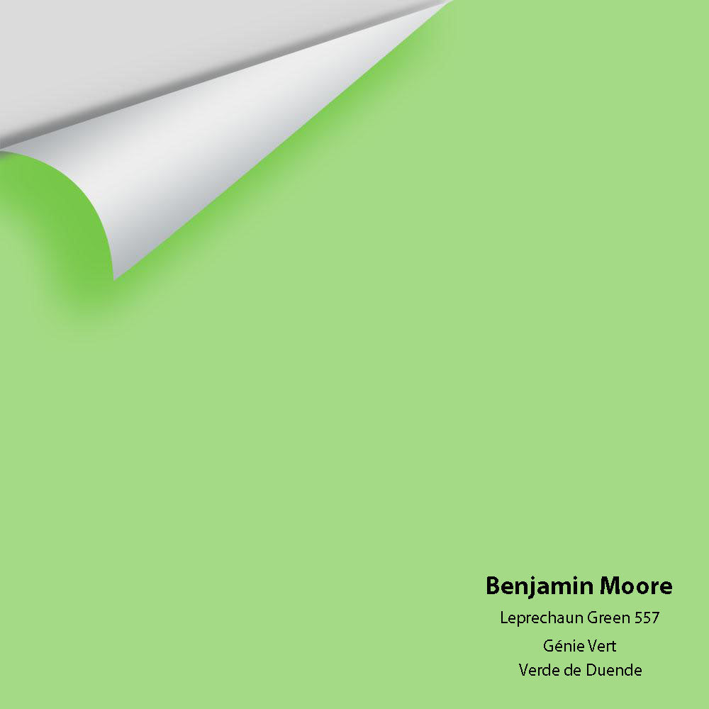 Big Paint Chip - Leprechaun Green 557