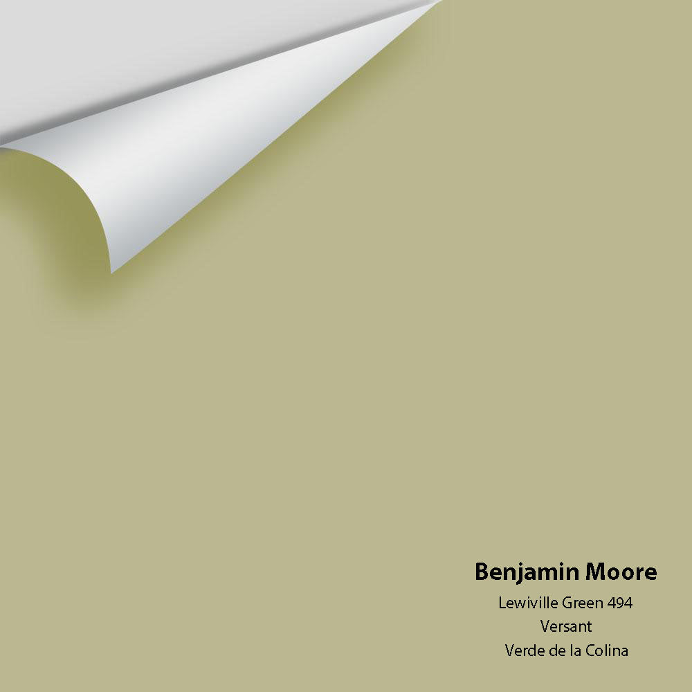 Benjamin Moore - Lewiville Green 494 Colour Sample