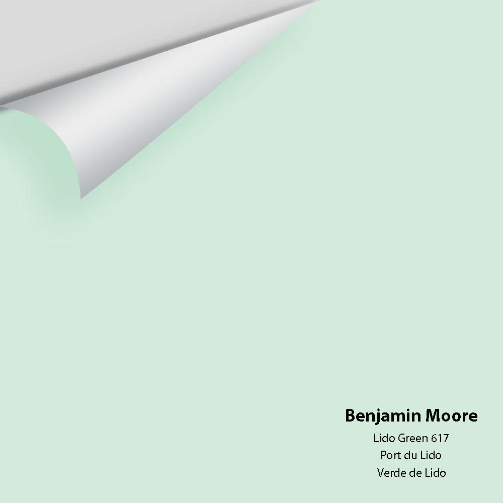 Big Paint Chip - Lido Green 617