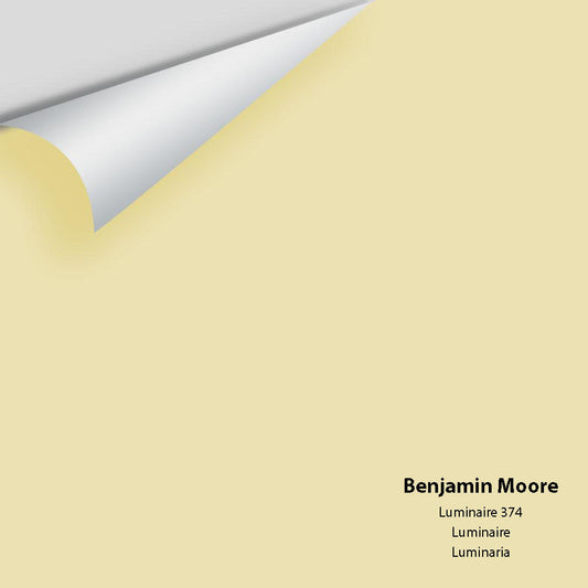Big Paint Chip - Luminaire 374