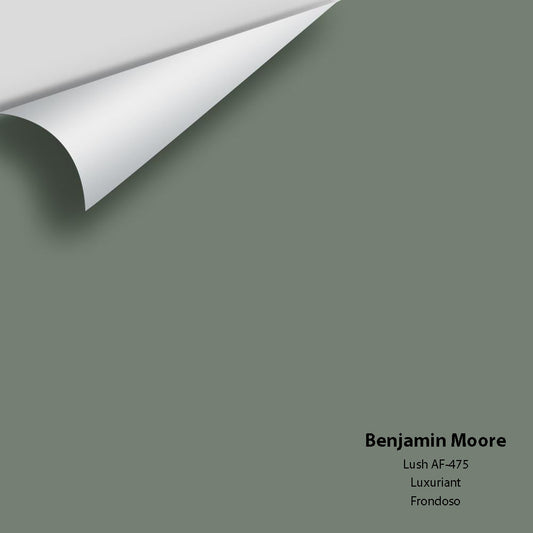Benjamin Moore - Lush AF-475 Colour Sample