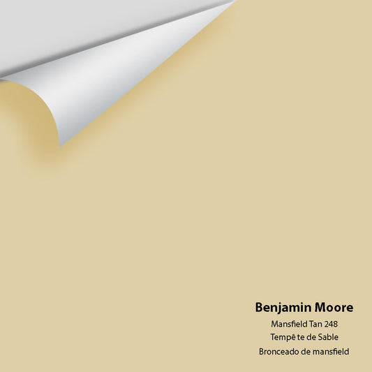 Big Paint Chip - Mansfield Tan 248