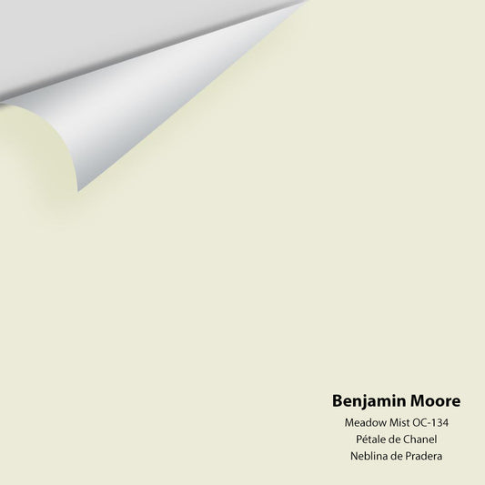Benjamin Moore - Meadow Mist 936 / OC-134 Colour Sample