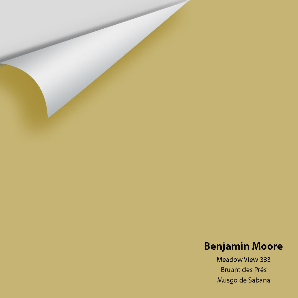 Big Paint Chip - Meadow View 383