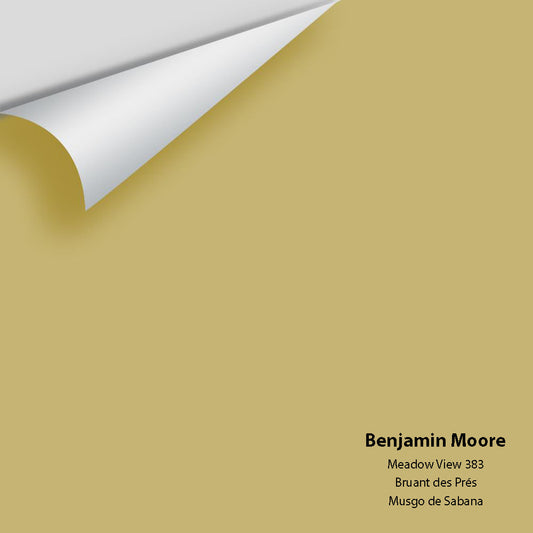 Big Paint Chip - Meadow View 383
