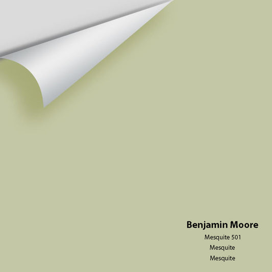 Big Paint Chip - Mesquite 501