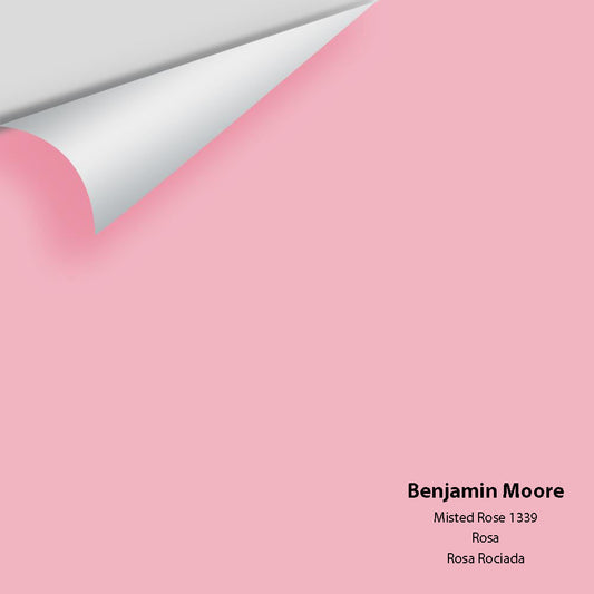 Big Paint Chip - Misted Rose 1339