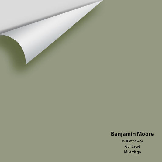 Benjamin Moore - Mistletoe 474 Colour Sample