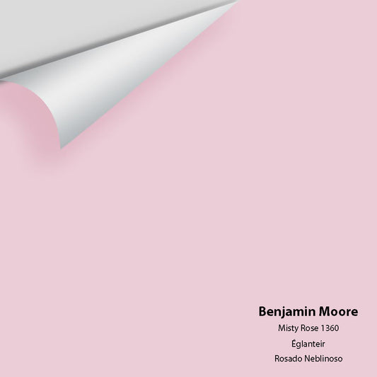 Big Paint Chip - Misty Rose 1360