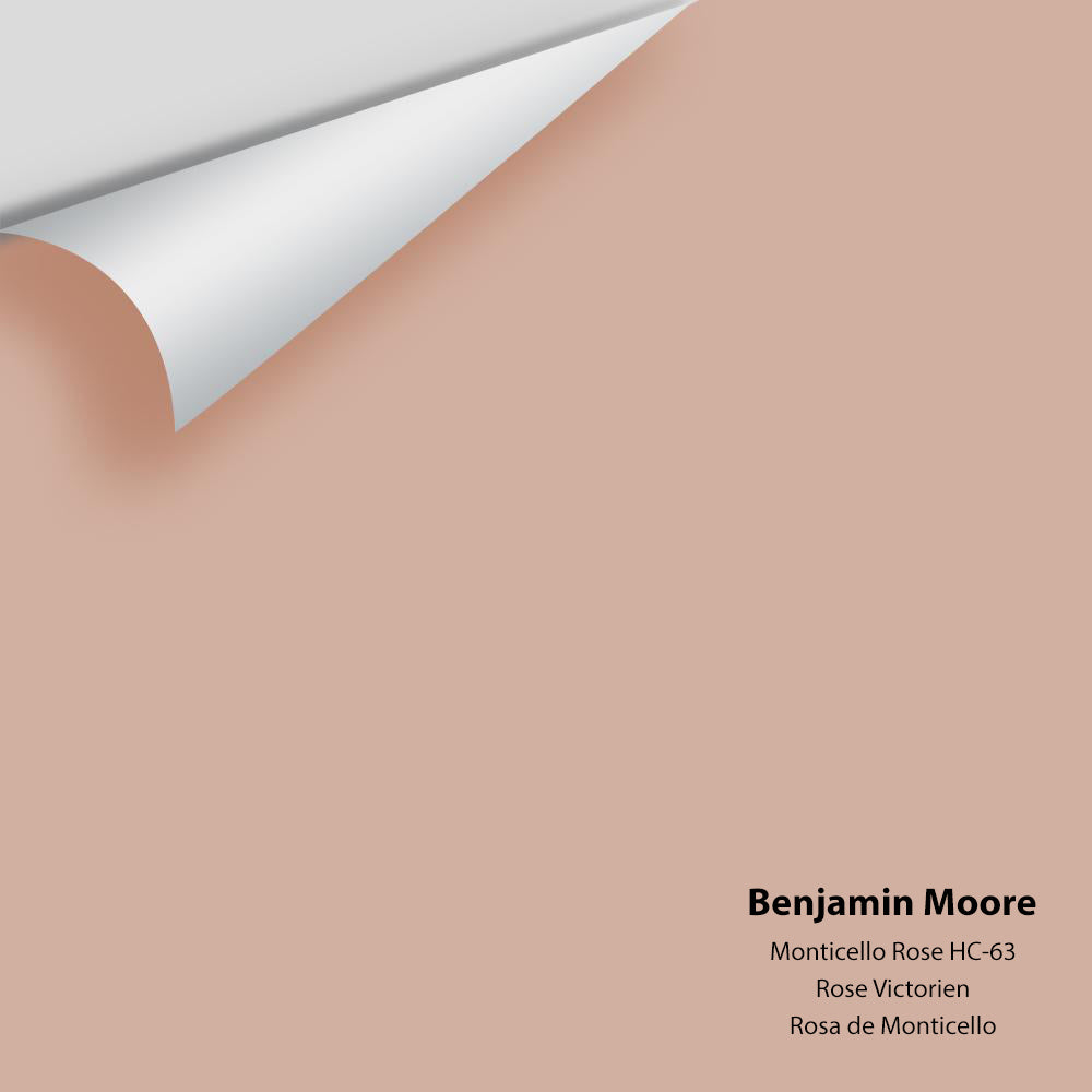 Big Paint Chip - Monticello Rose HC-63