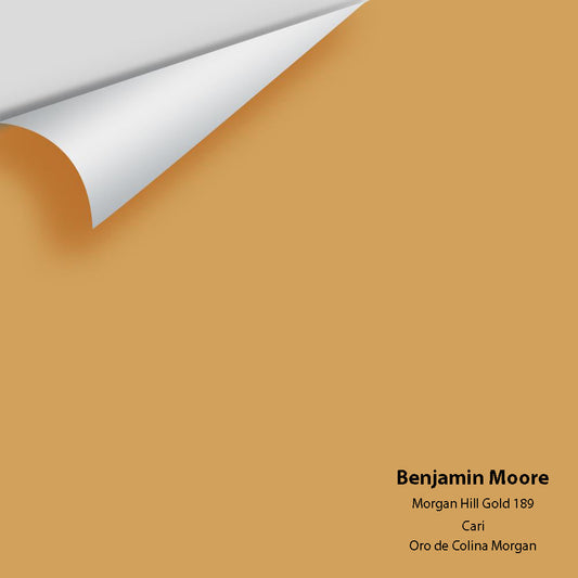 Big Paint Chip - Morgan Hill Gold 189