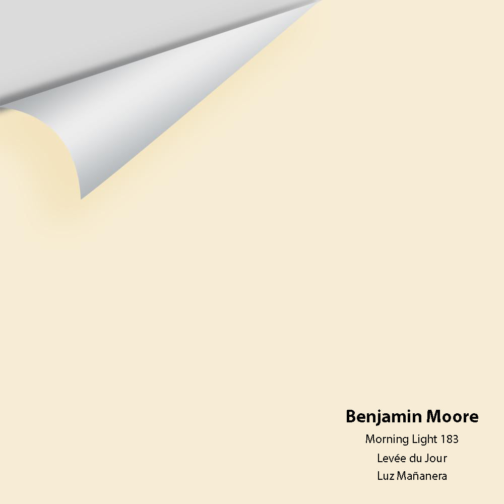 Big Paint Chip - Morning Light 183