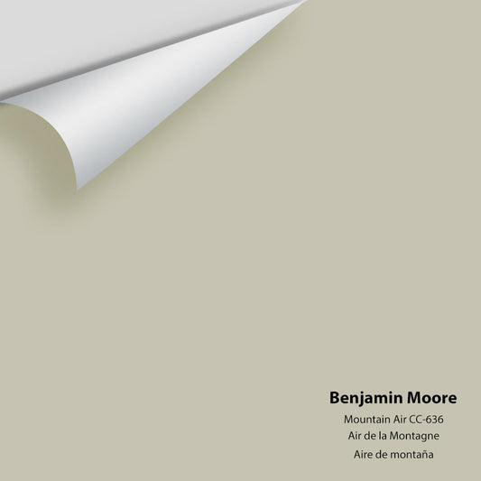 Benjamin Moore - Mountain Air CC-636 Colour Sample
