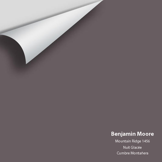 Big Paint Chip - Mountain Ridge 1456