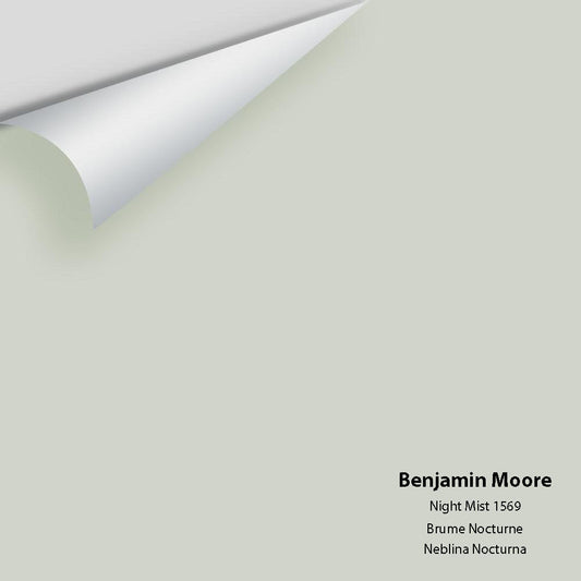 Benjamin Moore - Night Mist 1569 Color Sample