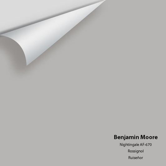 Benjamin Moore - Nightingale AF-670 Colour Sample