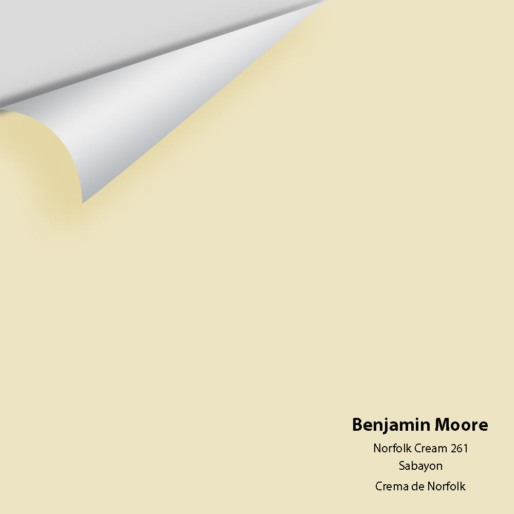 Big Paint Chip - Norfolk Cream 261