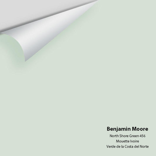 Big Paint Chip - North Shore Green 456