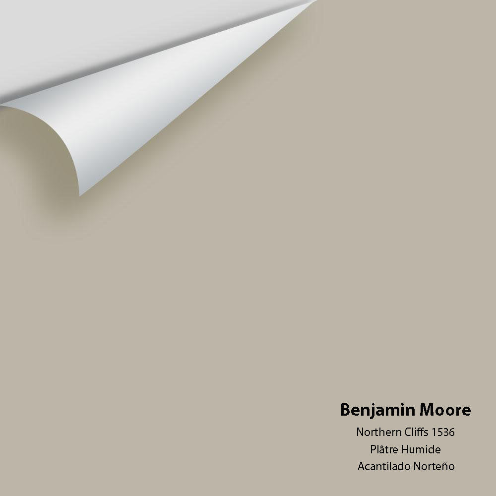 Benjamin Moore - Northern Cliffs 1536 Colour Sample