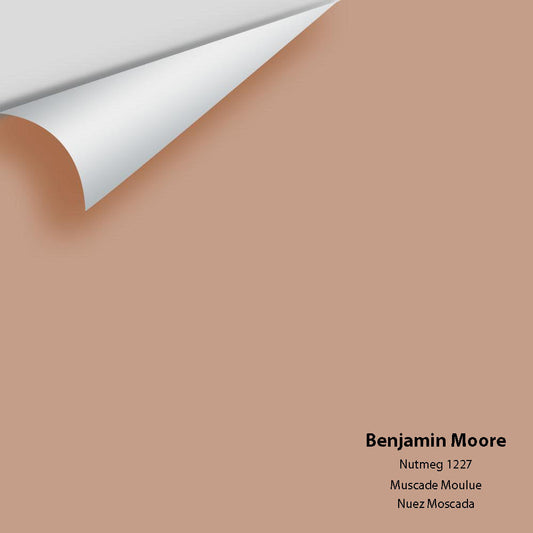 Big Paint Chip - Nutmeg 1227