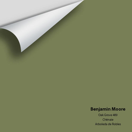 Big Paint Chip - Oak Grove 489