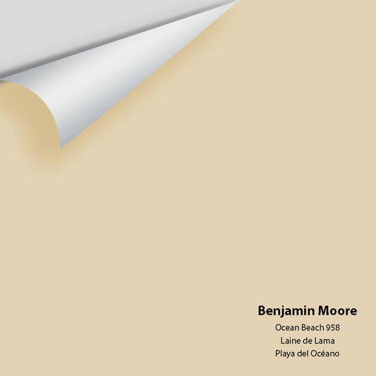 Benjamin Moore - Ocean Beach 958 Colour Sample