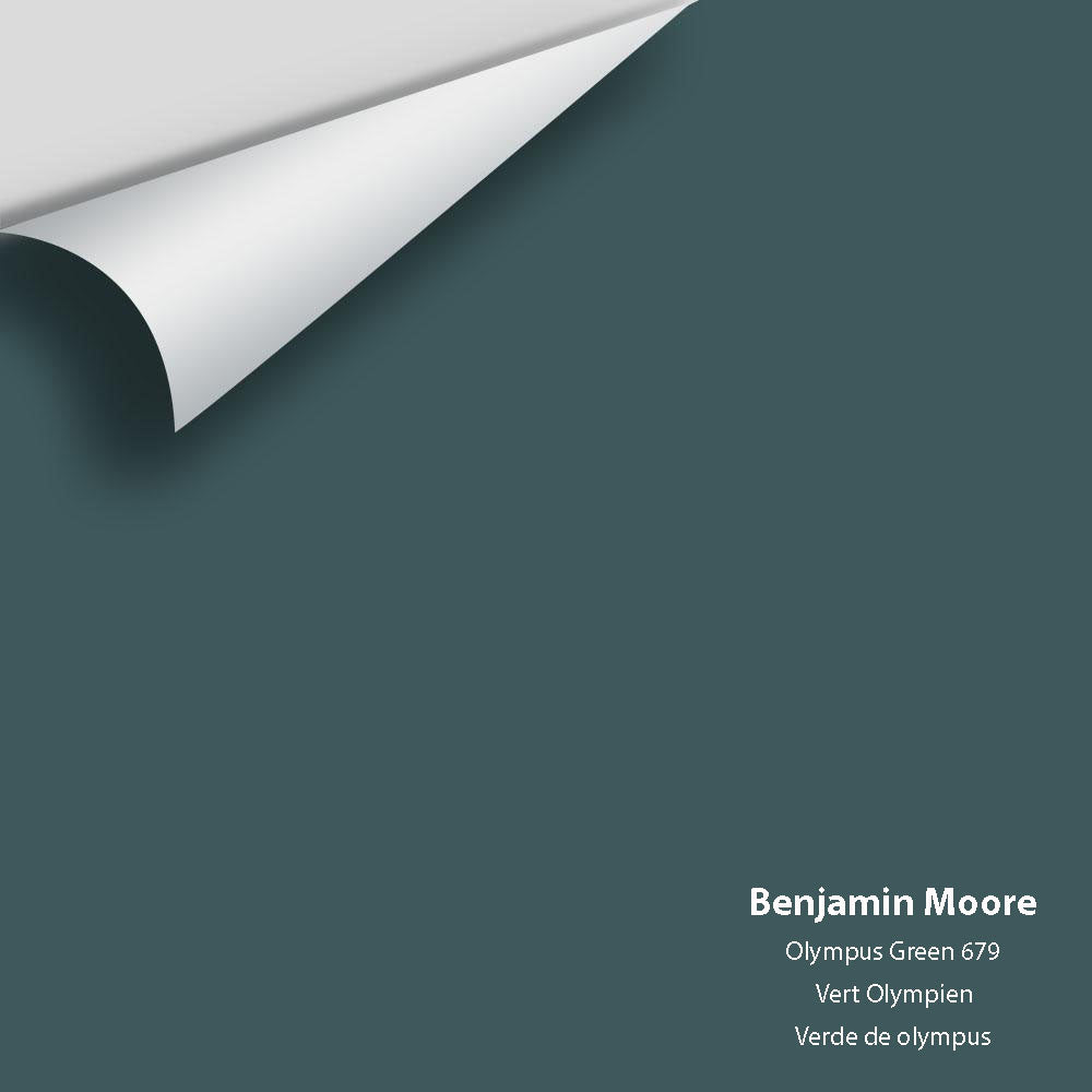 Big Paint Chip - Olympus Green 679