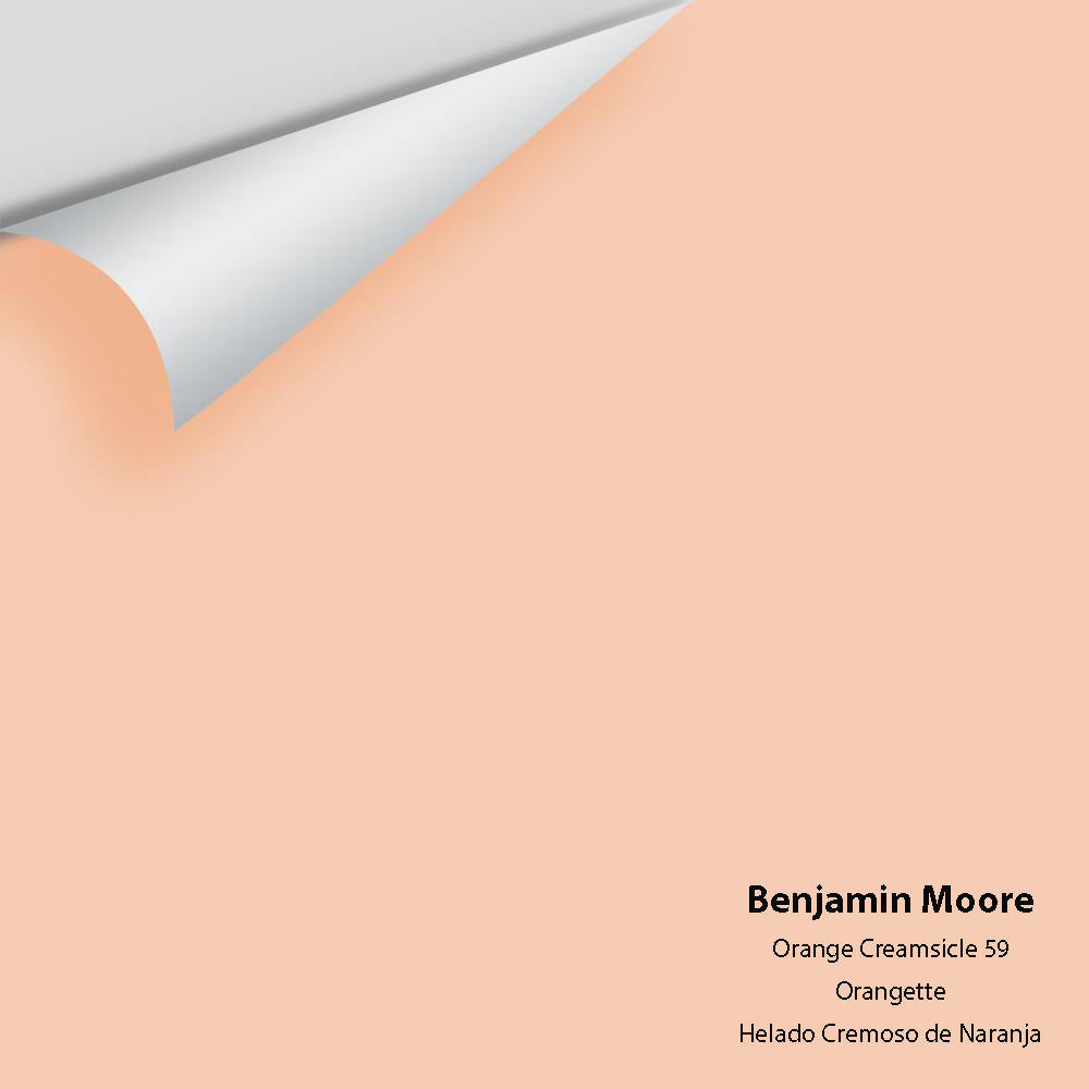 Benjamin Moore - Orange Creamsicle 59 Colour Sample