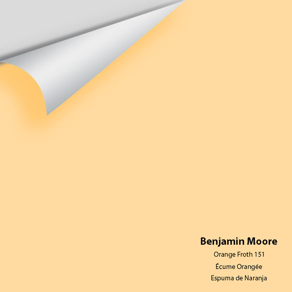 Big Paint Chip - Orange Froth 151
