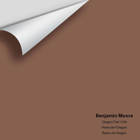 Big Paint Chip - Oregon Trail 1230