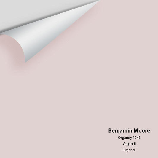 Big Paint Chip - Organdy 1248