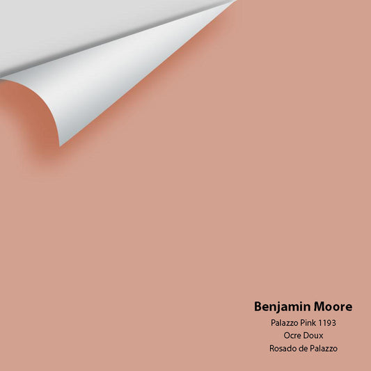 Big Paint Chip - Palazzo Pink 1193
