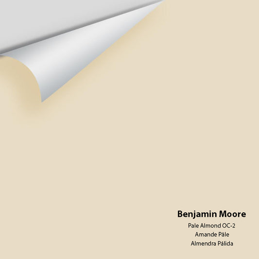 Benjamin Moore - Pale Almond 951 / OC-2 Colour Sample