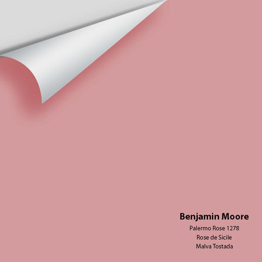 Big Paint Chip - Palermo Rose 1278
